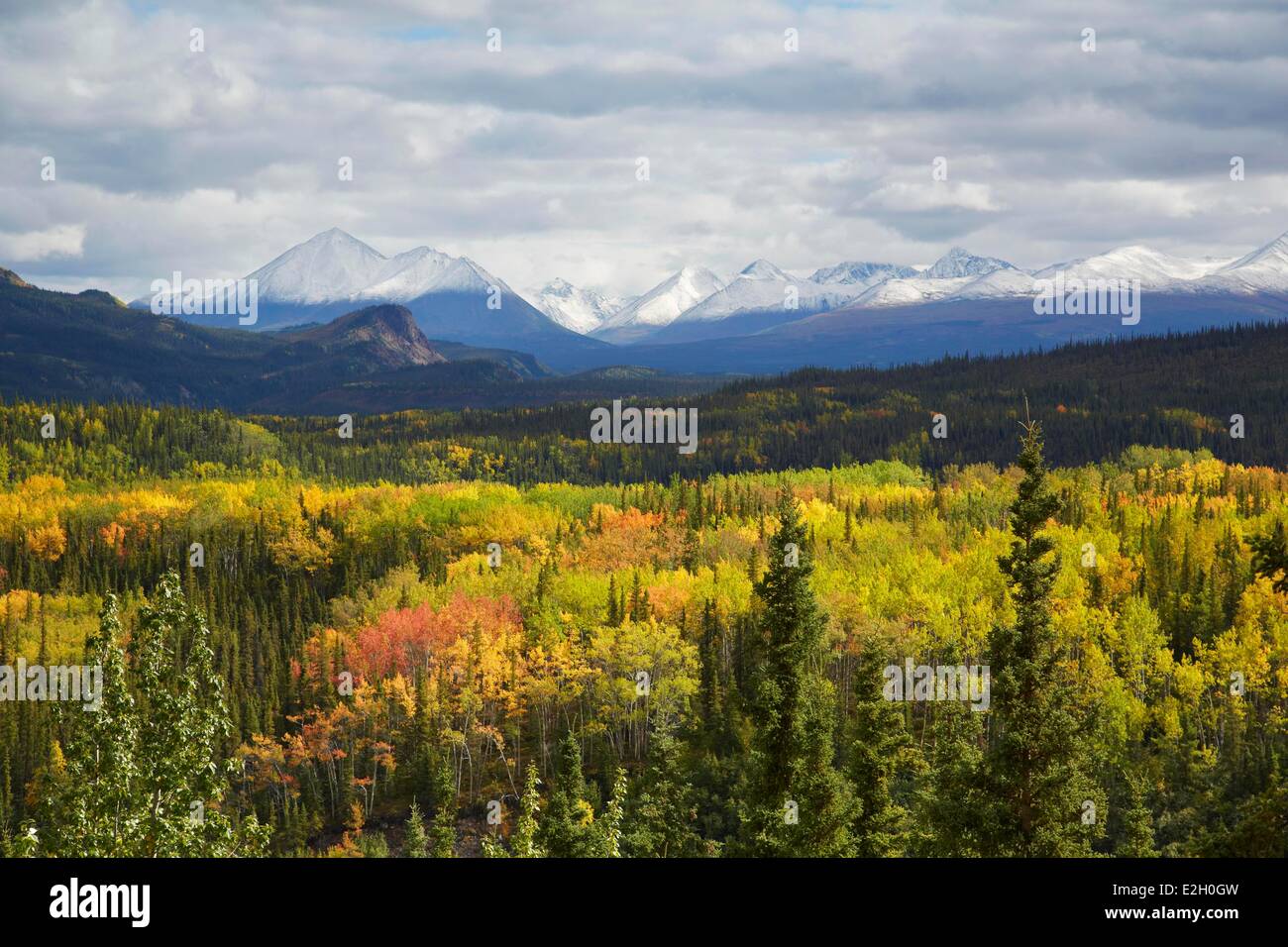 United States Alaska Denali National Park fall colors George Parks Highway Stock Photo