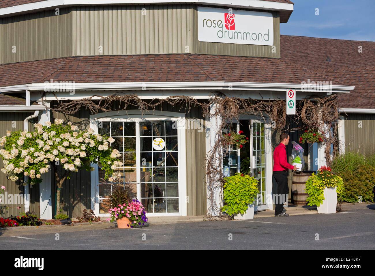 Canada Quebec province Centre du Quebec region Drummondville Rose