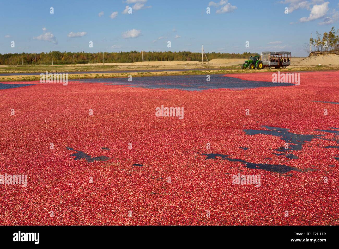 Canada Quebec province Centre du Quebec region Saint Louis de Blandford