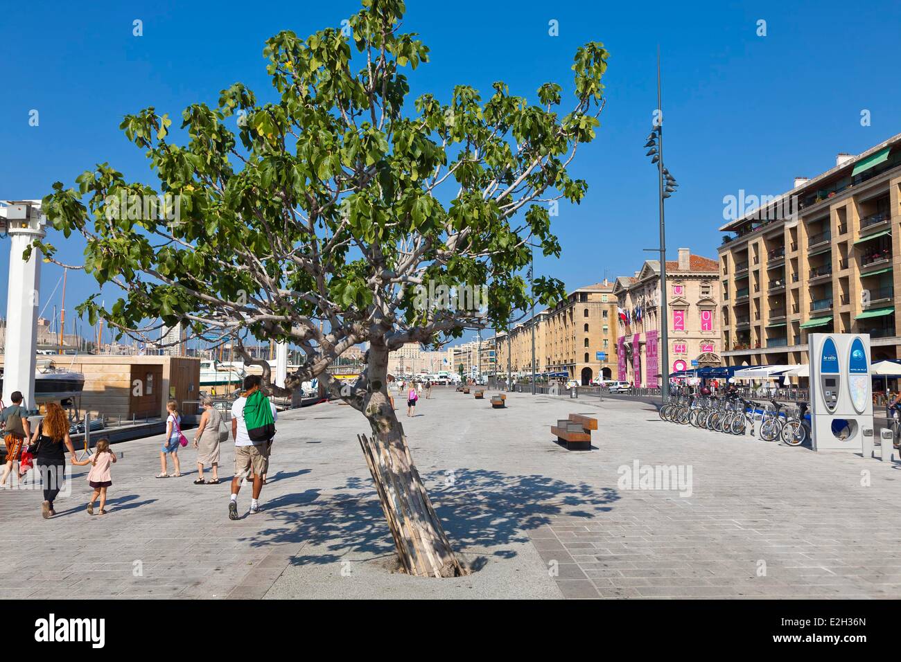 Old Port City Hall Marseille High Resolution Stock Photography And Images Alamy