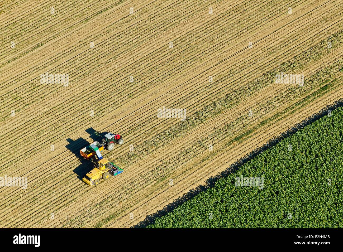 France Aude cultivated fields near town of Bram (aerial view) Stock Photo