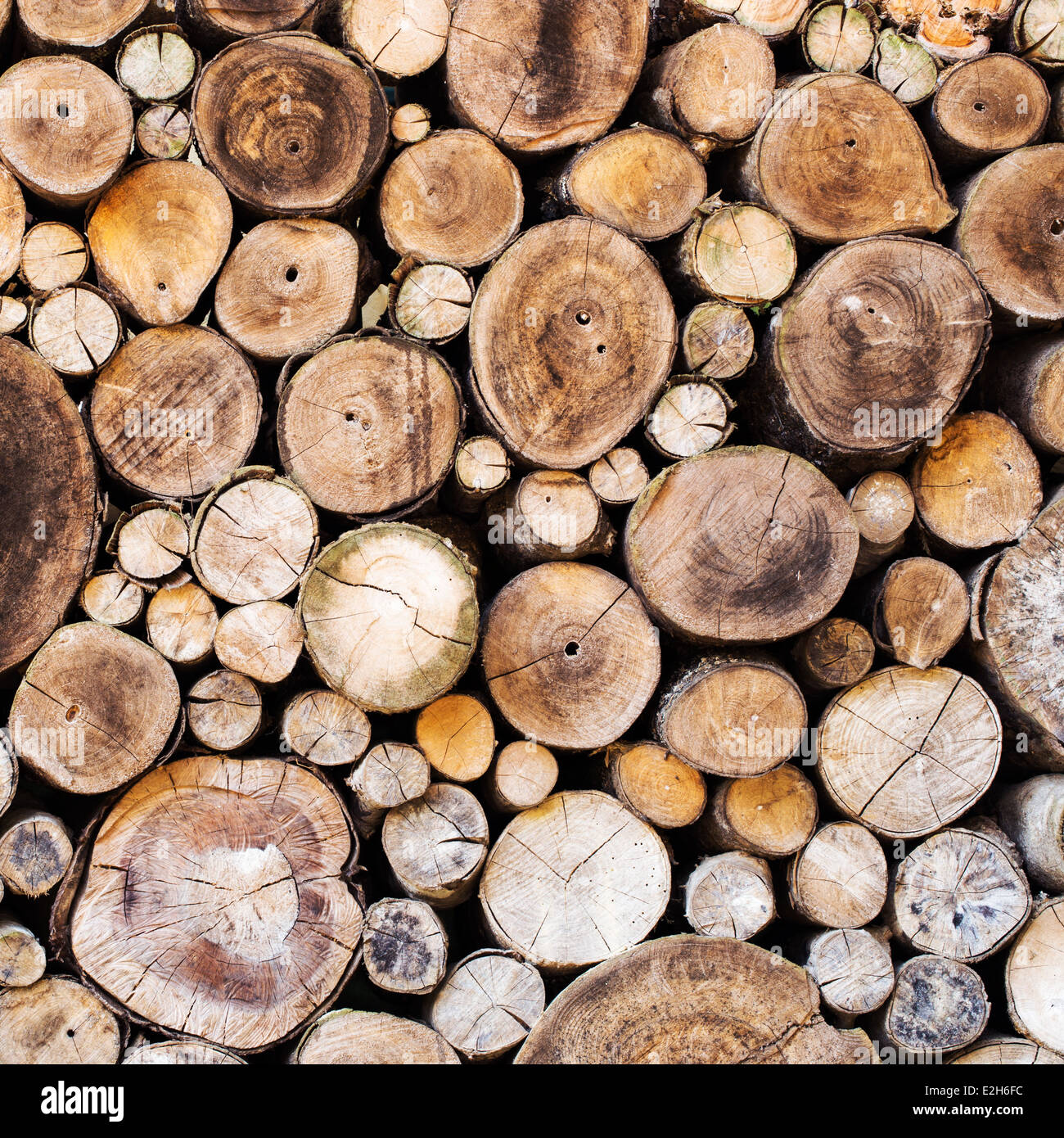 Wood texture background have many logs that cuted from big tree and ...