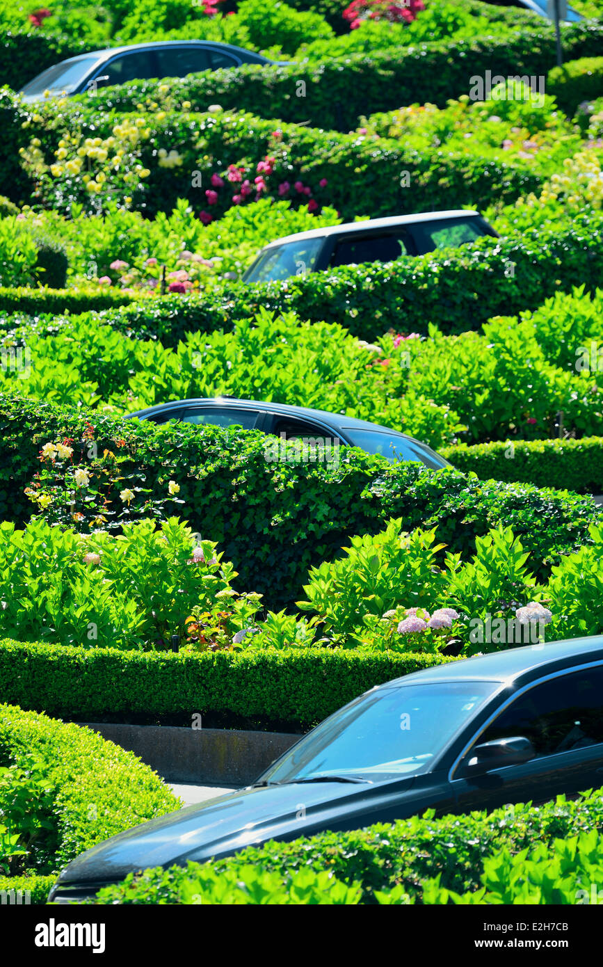 San Francisco Lombard Street with car top visible Stock Photo