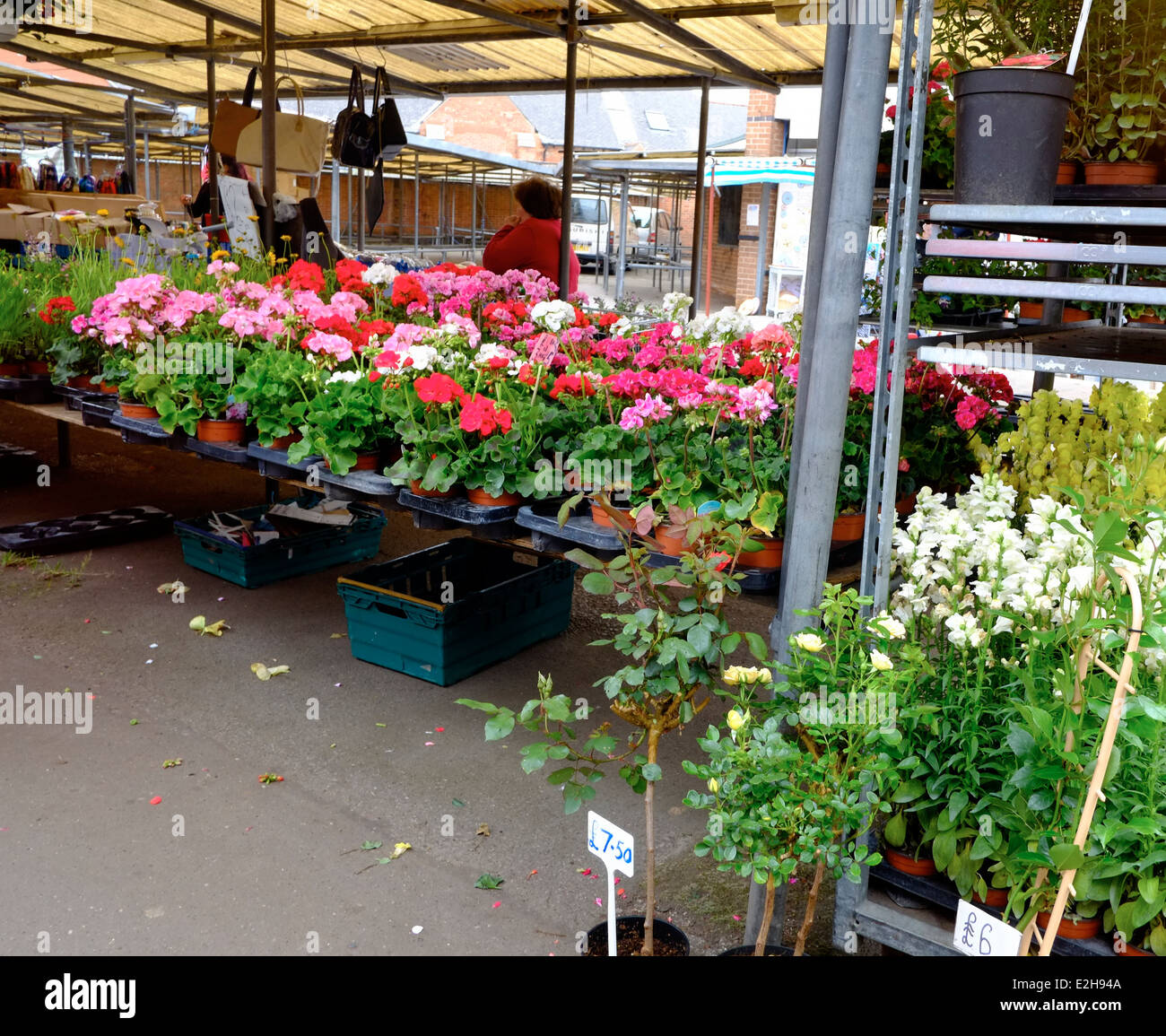 A flower and plant market stall Arnold Nottingham england uk Stock