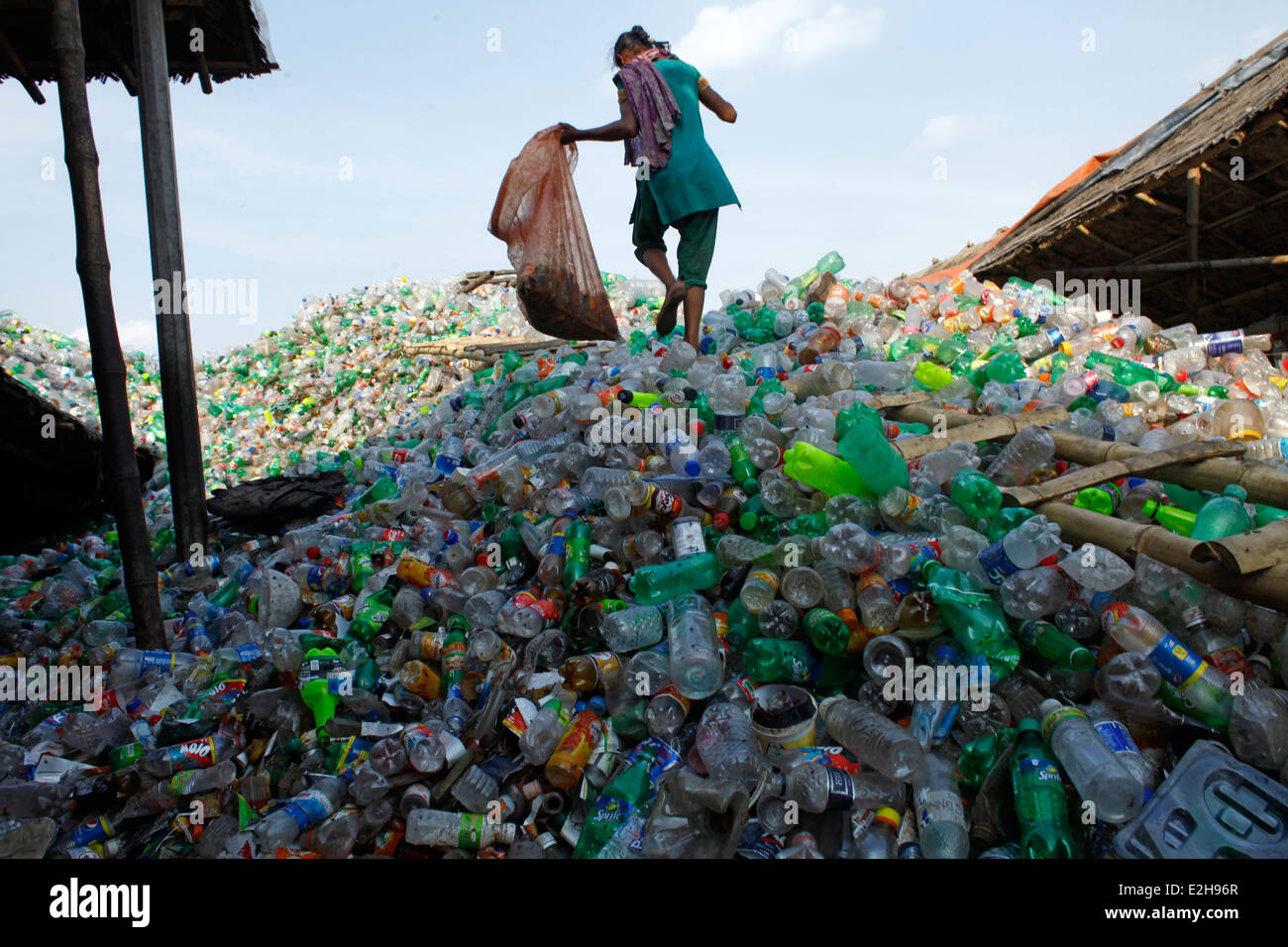 women worker in a plastic bottle recycling factory.,adult,amount,Asia