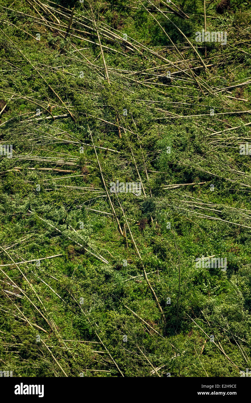 Aerial view, storm damage caused on 9 June 2014, broken trees, Bochum, Ruhr Area, North Rhine-Westphalia, Germany Stock Photo