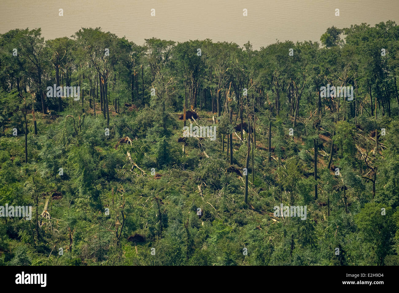 Schellenberger Wald, forest with storm damage caused on 9 June 2014, aerial view, Essen, Ruhr Area, North Rhine-Westphalia Stock Photo