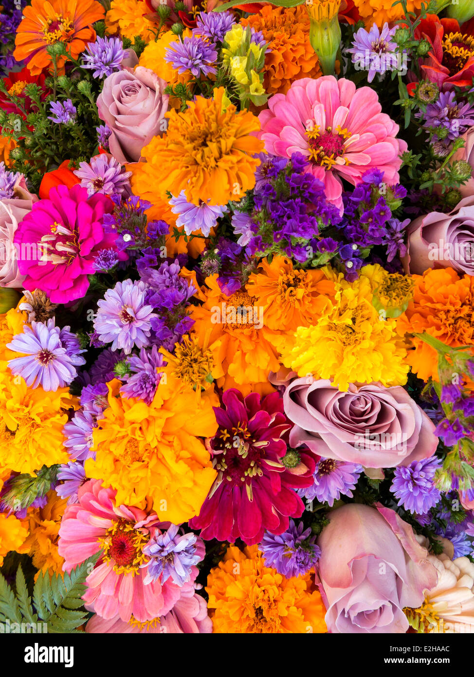 A colourful bouquet Stock Photo