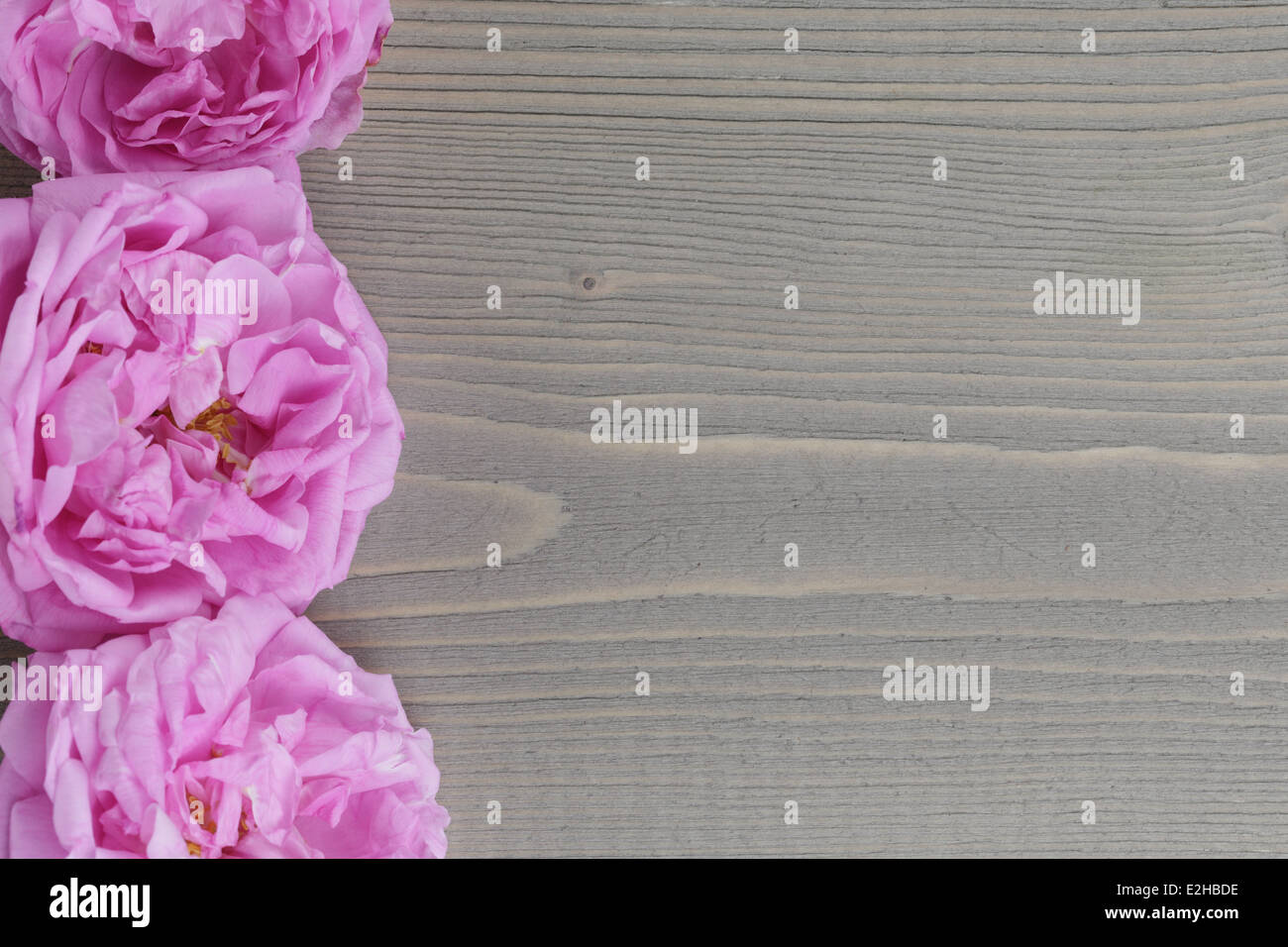 pink rose flowers, on rustic wood table Stock Photo - Alamy