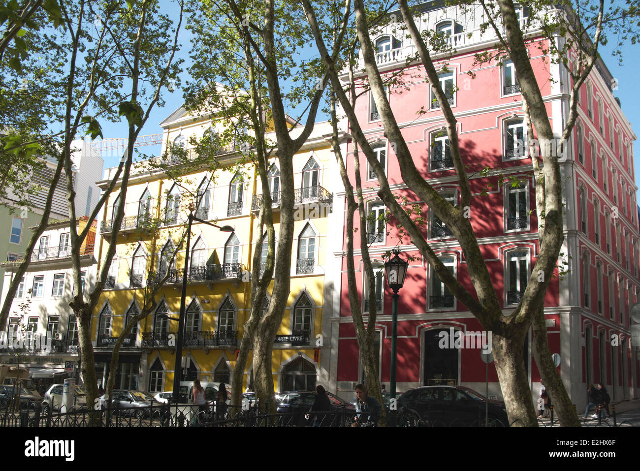 Tree-lined city block Stock Photo