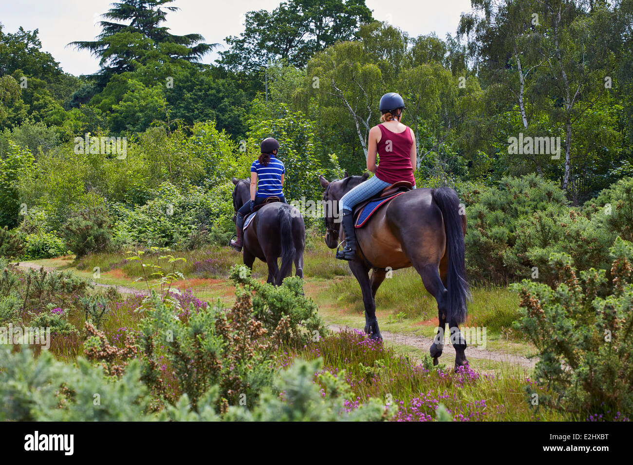 Horse riders on Fairmile Common, Esher, Surrey, England. Stock Photo
