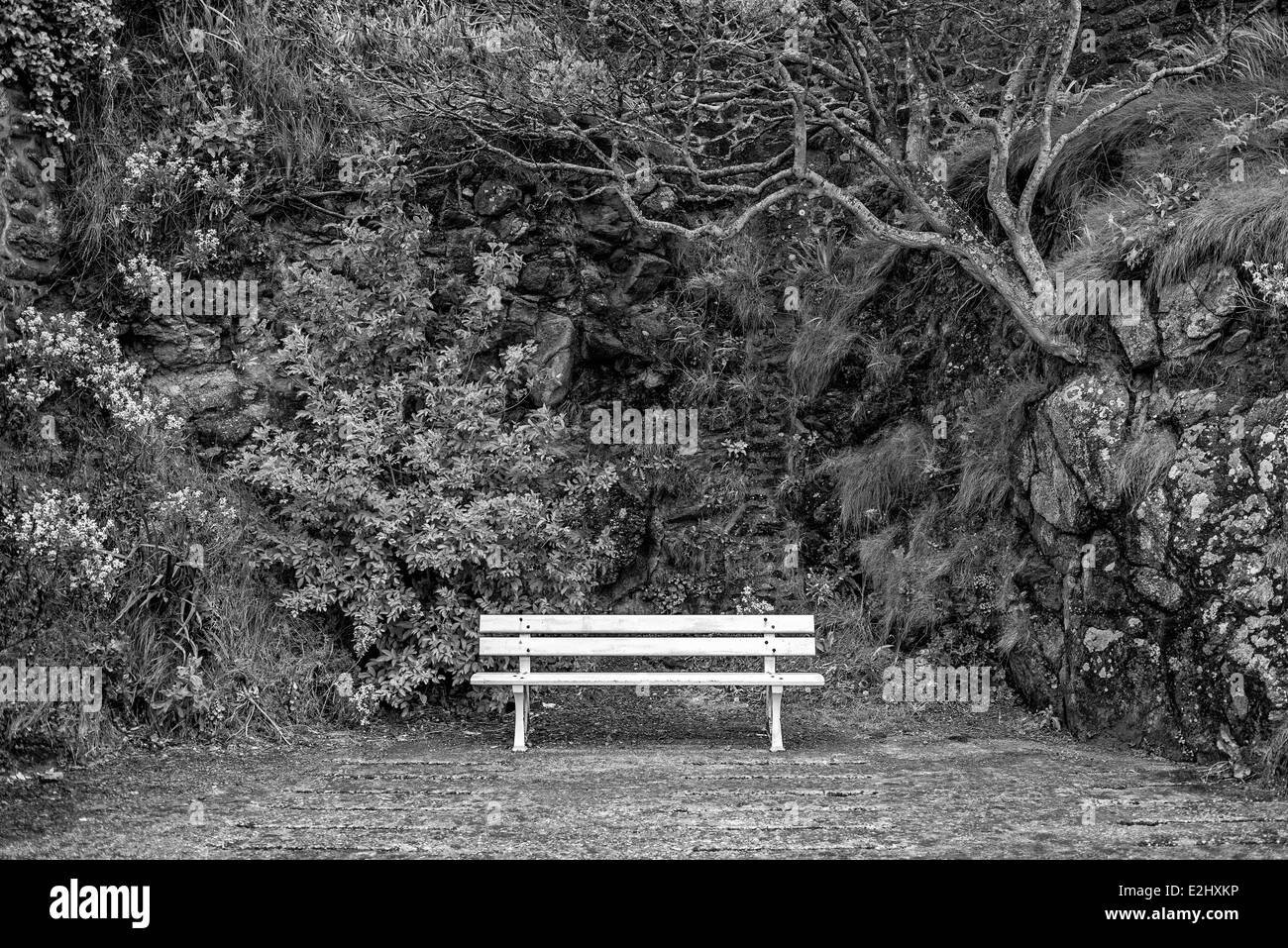 Empty park bench, Promenade des AlliÄs, Dinard, Ille et Vilaine, Brittany, France Stock Photo