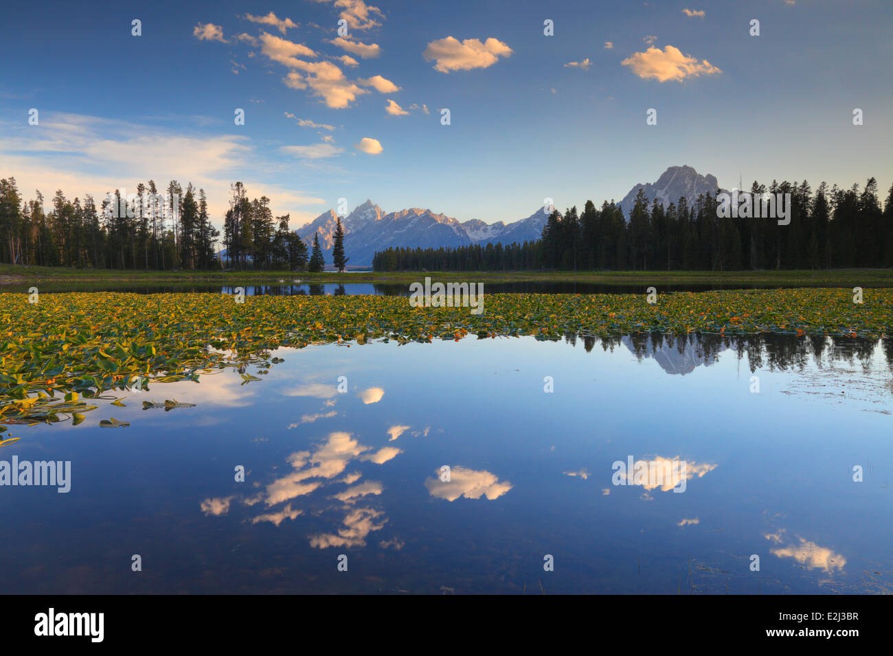 Beautiful summer sky reflected in Heron Pond near Colter Bay in Grand Teton National Park, Wyoming Stock Photo