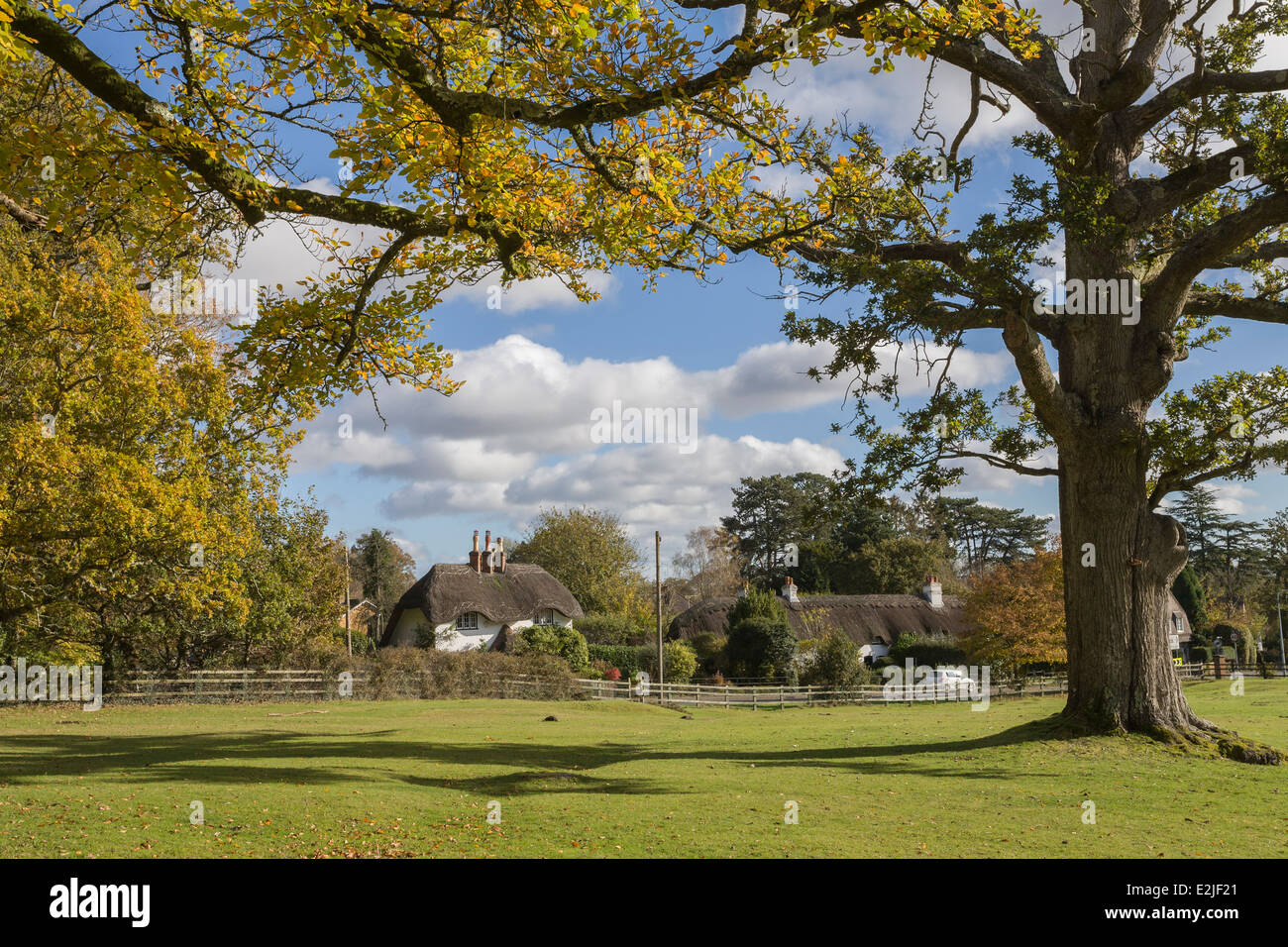 Cottages at Swan Green, Lyndhurst, New Forest, Hampshire, England, UK Stock Photo