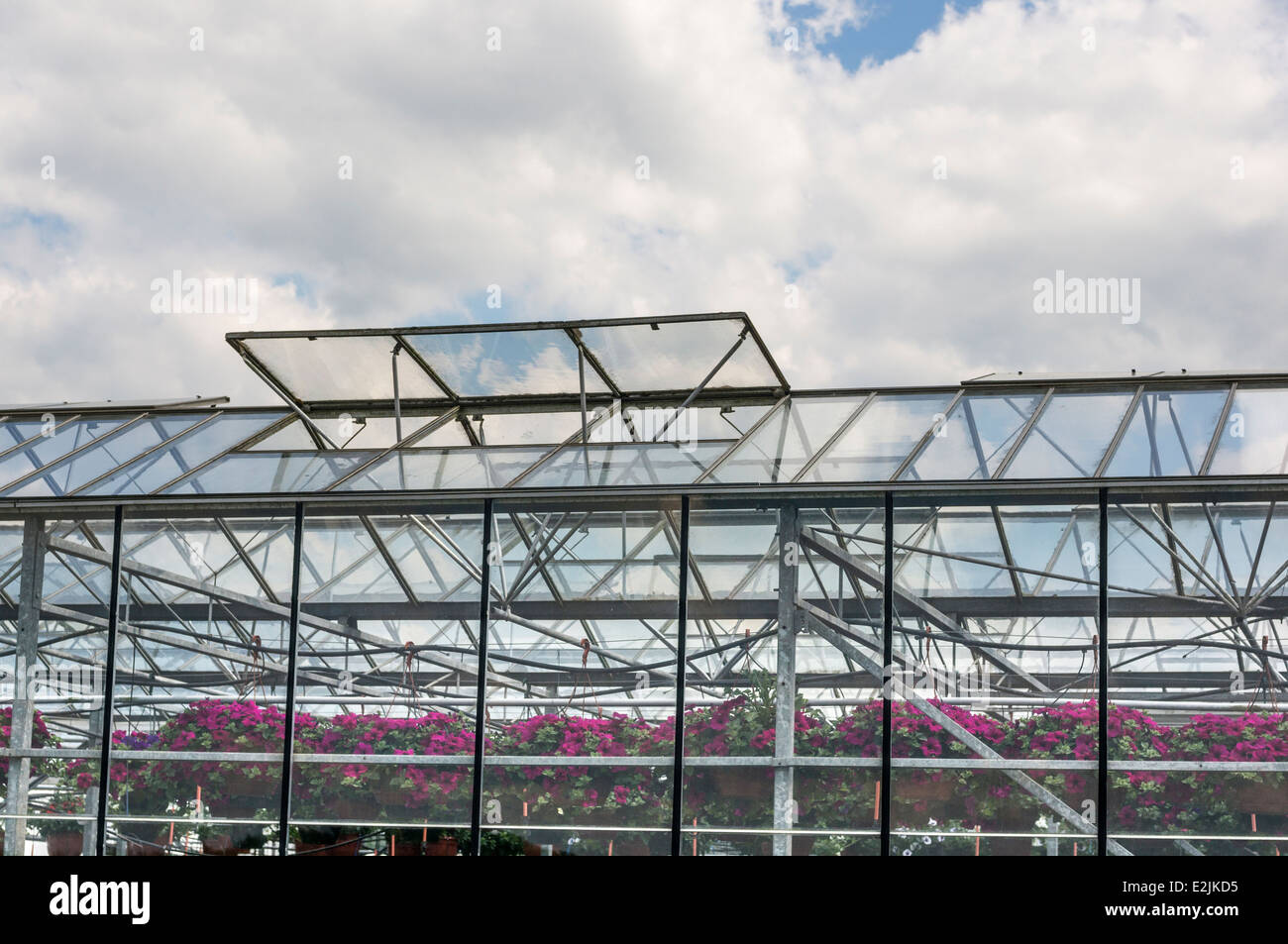 Greenhouse at a garden centre showing open ventilation panels Stock Photo