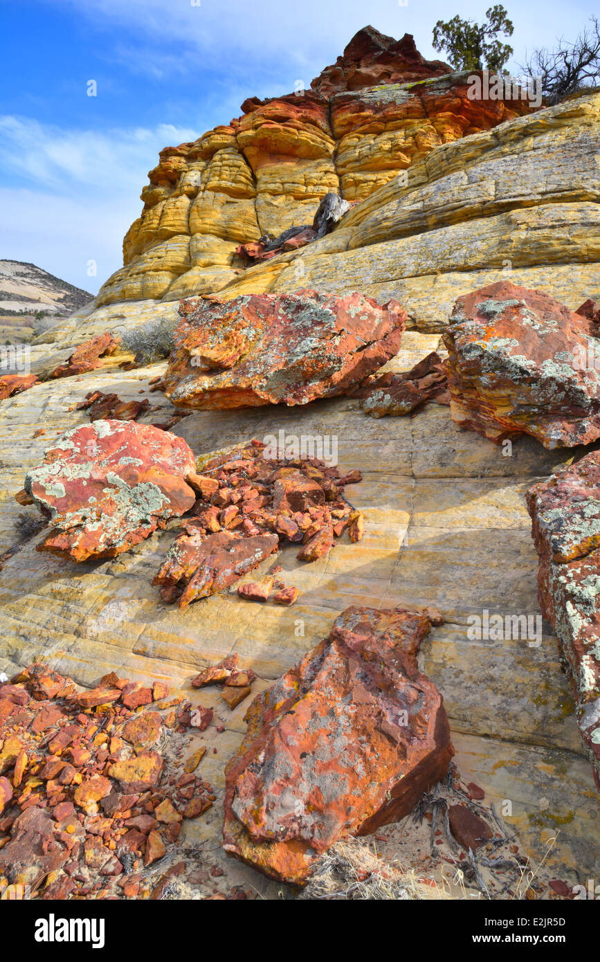 Ancient lichen covered rocks along Boulder-Notom Road in Grand Staircase Escalante National Monument near Boulder, Utah Stock Photo