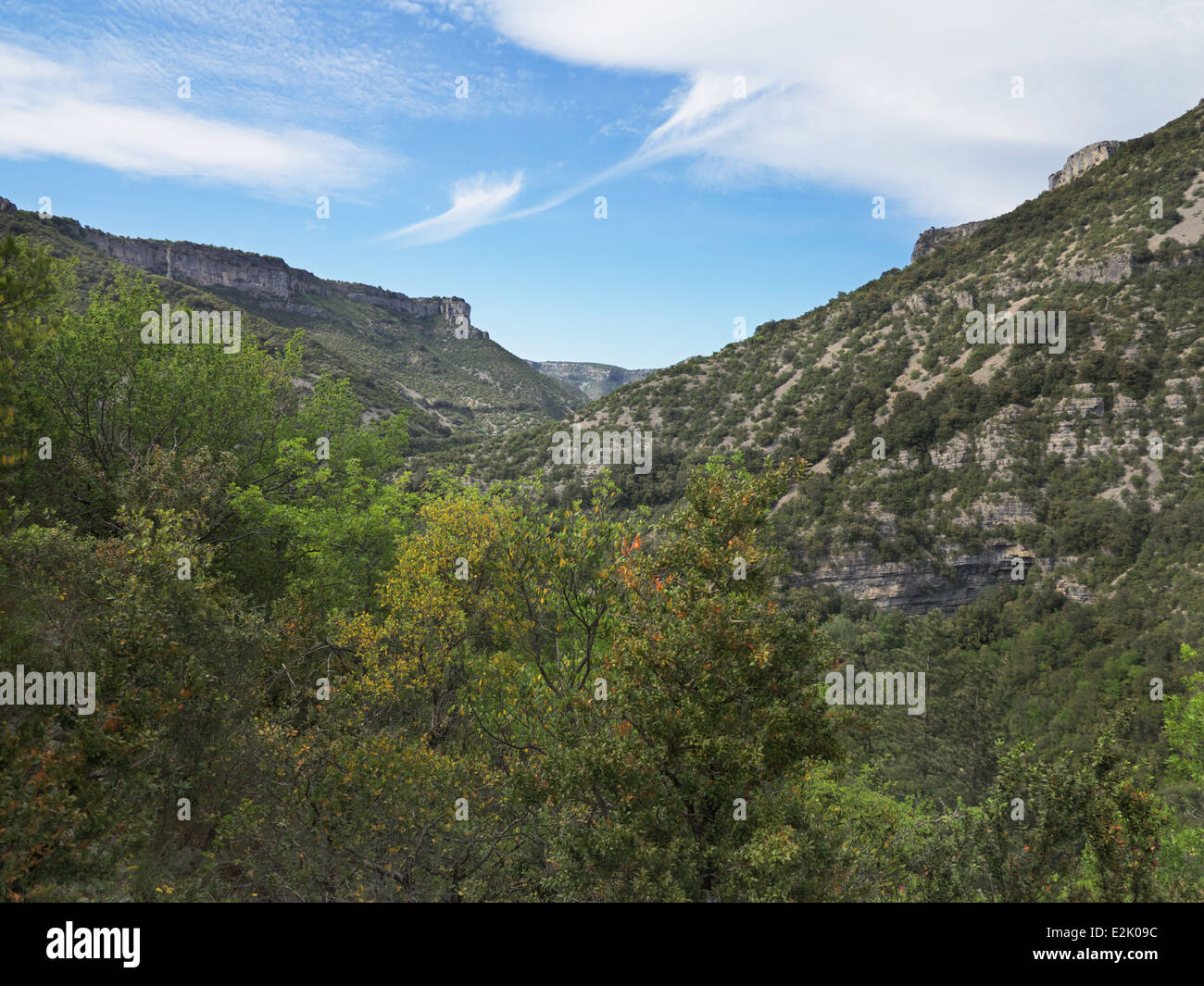 View of the Gorges de la Vis, near Navacelles, Gard, Languedoc-Roussillon, France (this gorge features in the Ian McEwan novel Black Dogs) Stock Photo