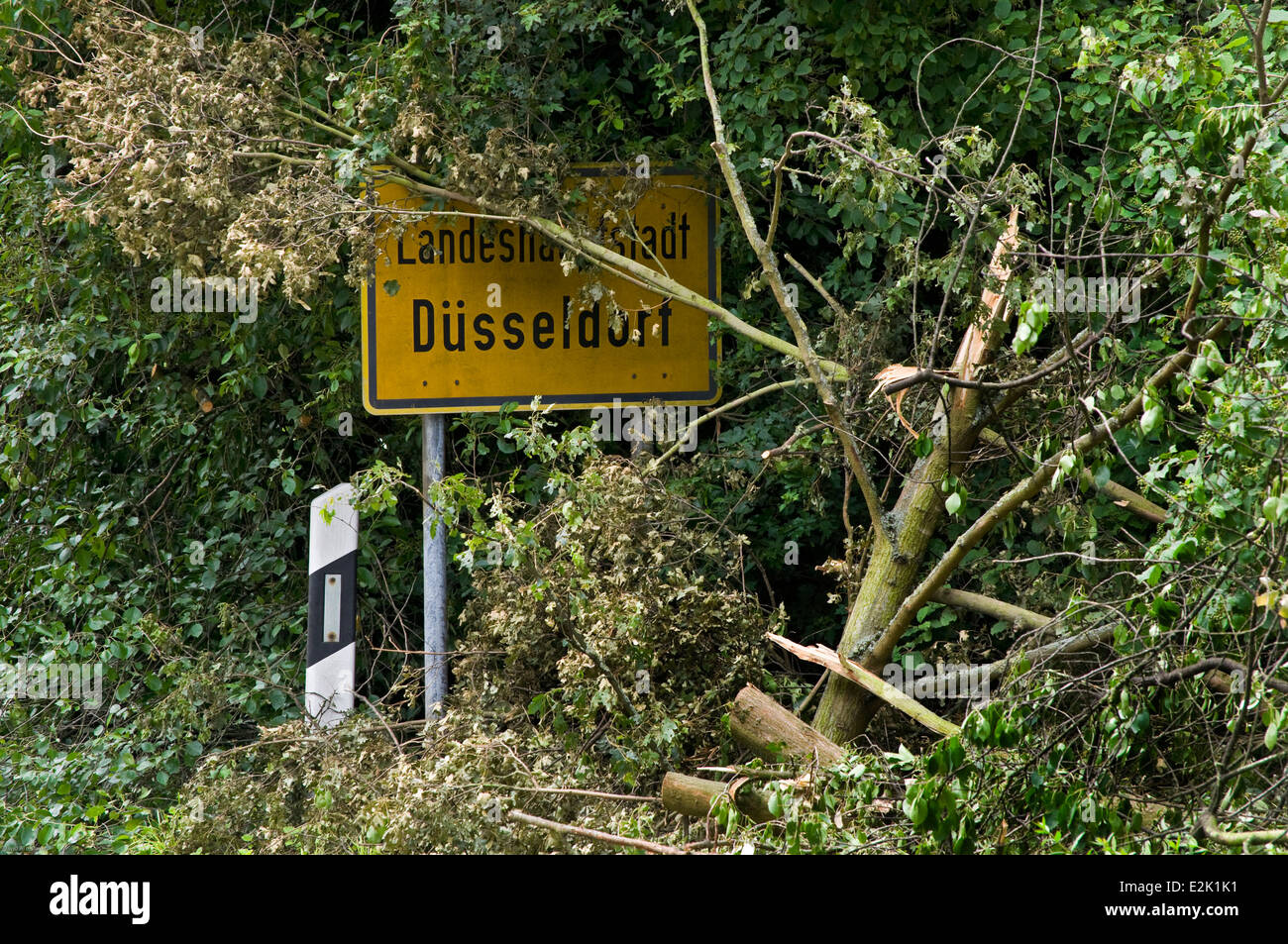 Road sign for Düsseldorf Germany showing fallen trees after the severe thunder storm 'Ela' in June 2014 Stock Photo