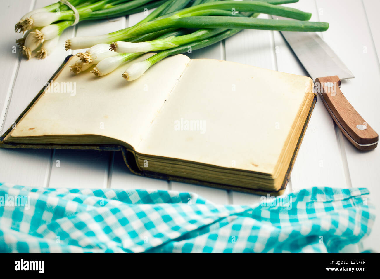 the old recipe book with spring onion Stock Photo