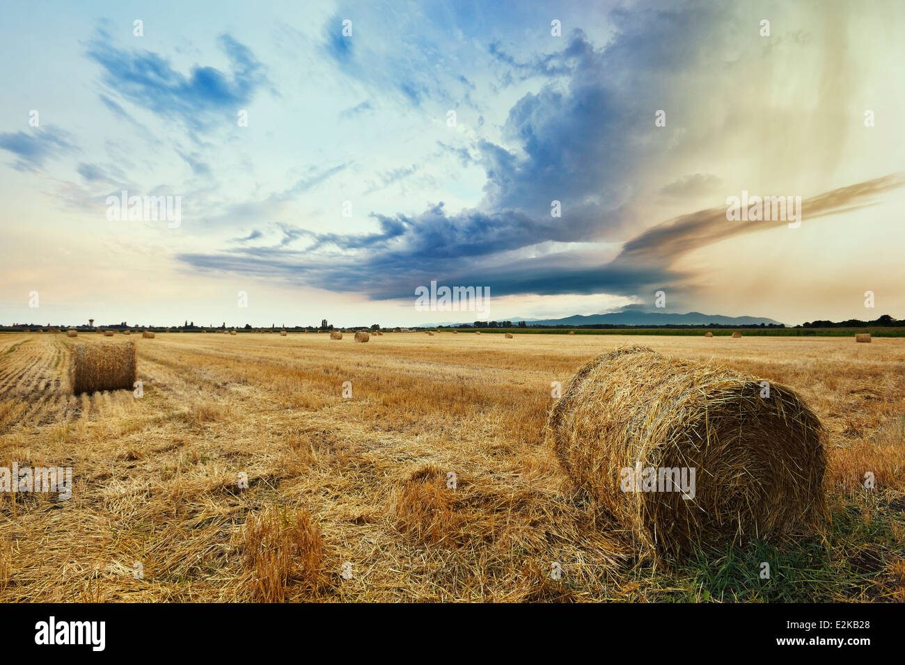 Rain clouds over cereal fields. Horbourg-Wihr, Haut-Rhin, Alsace, France. Stock Photo