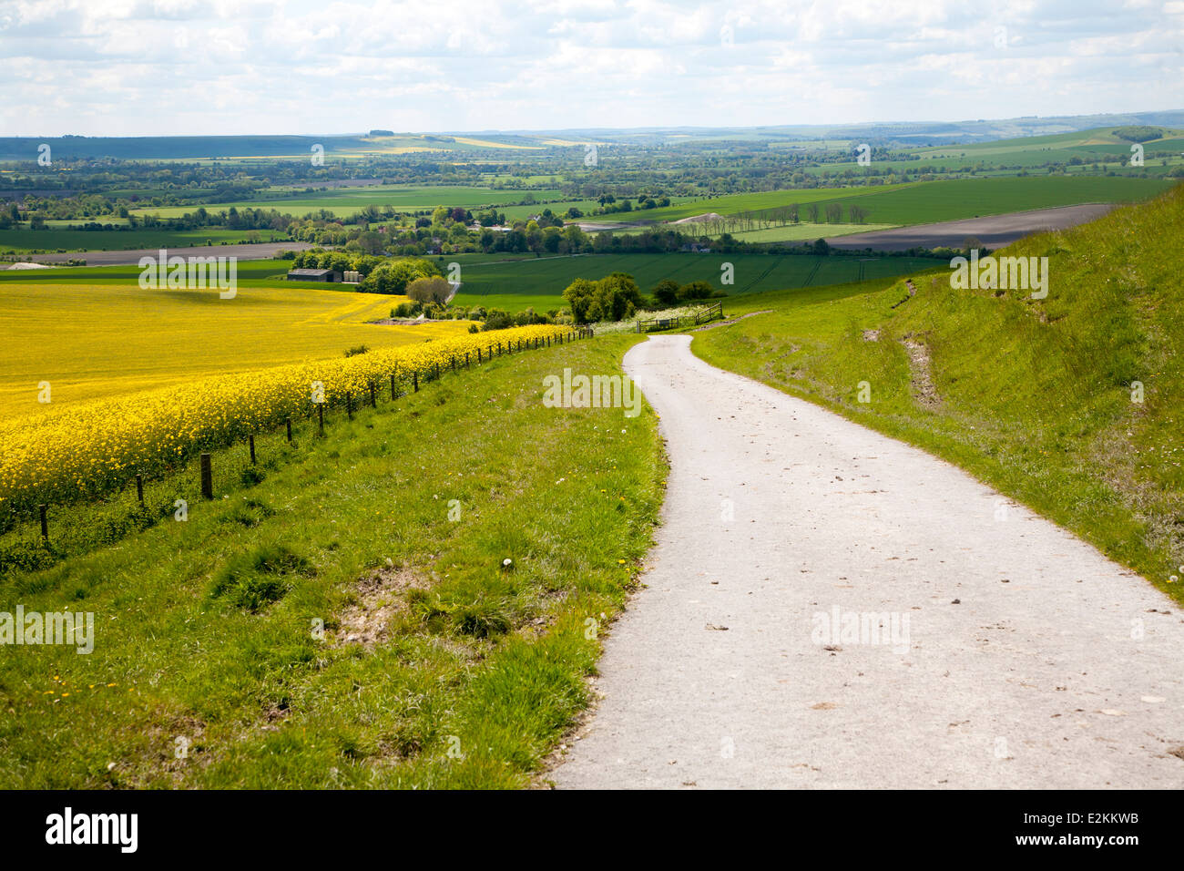 White pathways on chalk downland Allington Down, Wiltshire, England Stock Photo
