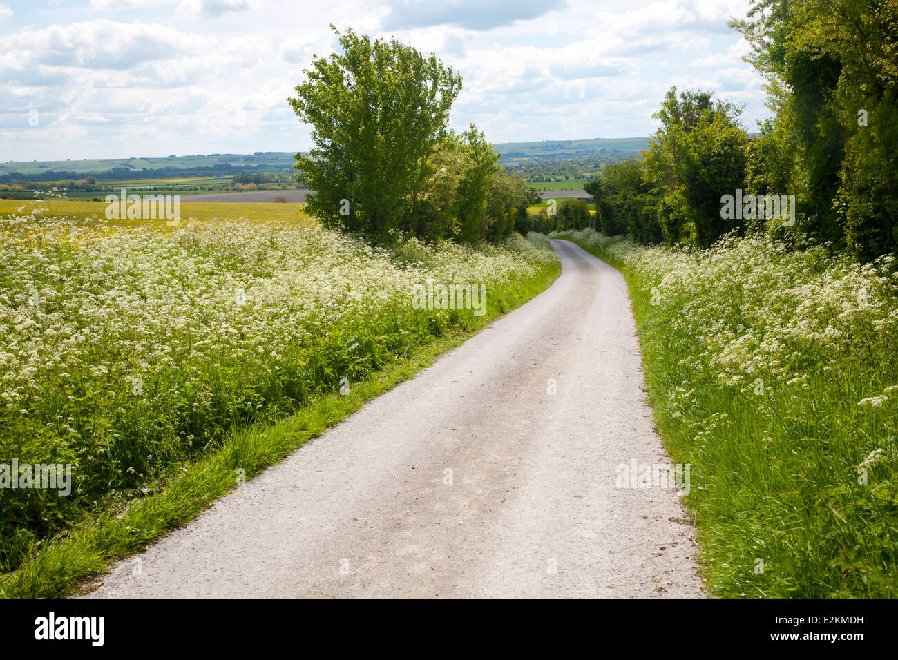Country lane road on chalk downland Allington Down, Wiltshire, England Stock Photo