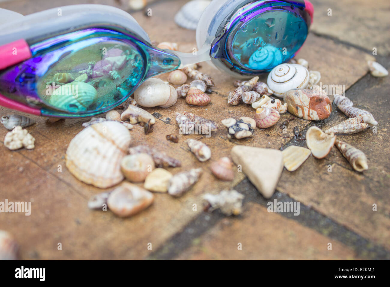 'swimming goggles' 'sea shells' 'still life' beach Stock Photo