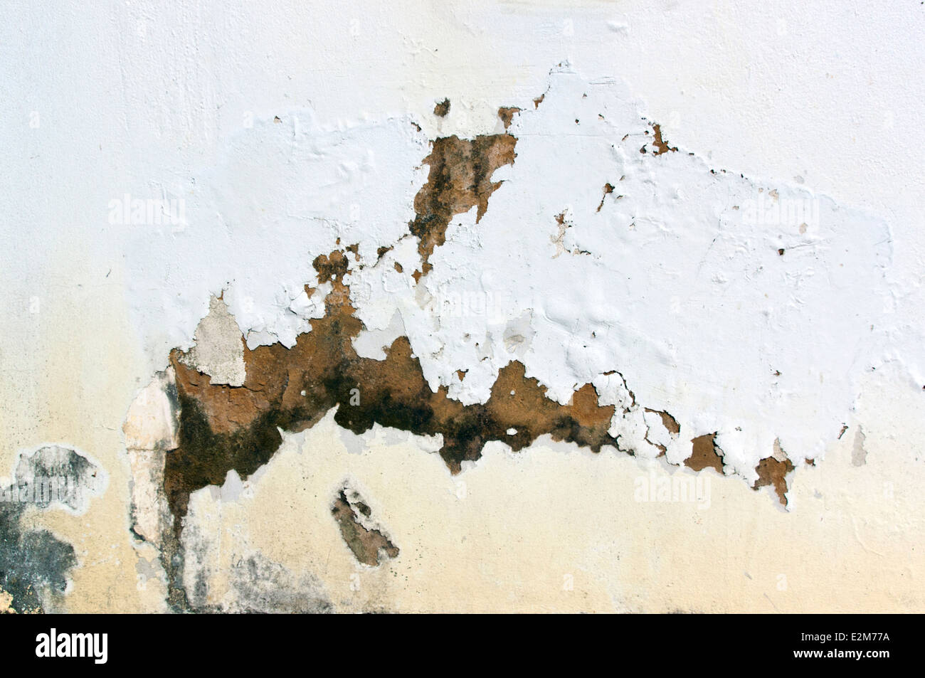 exterior wall with peeling paint indicating rising damp Stock Photo Alamy
