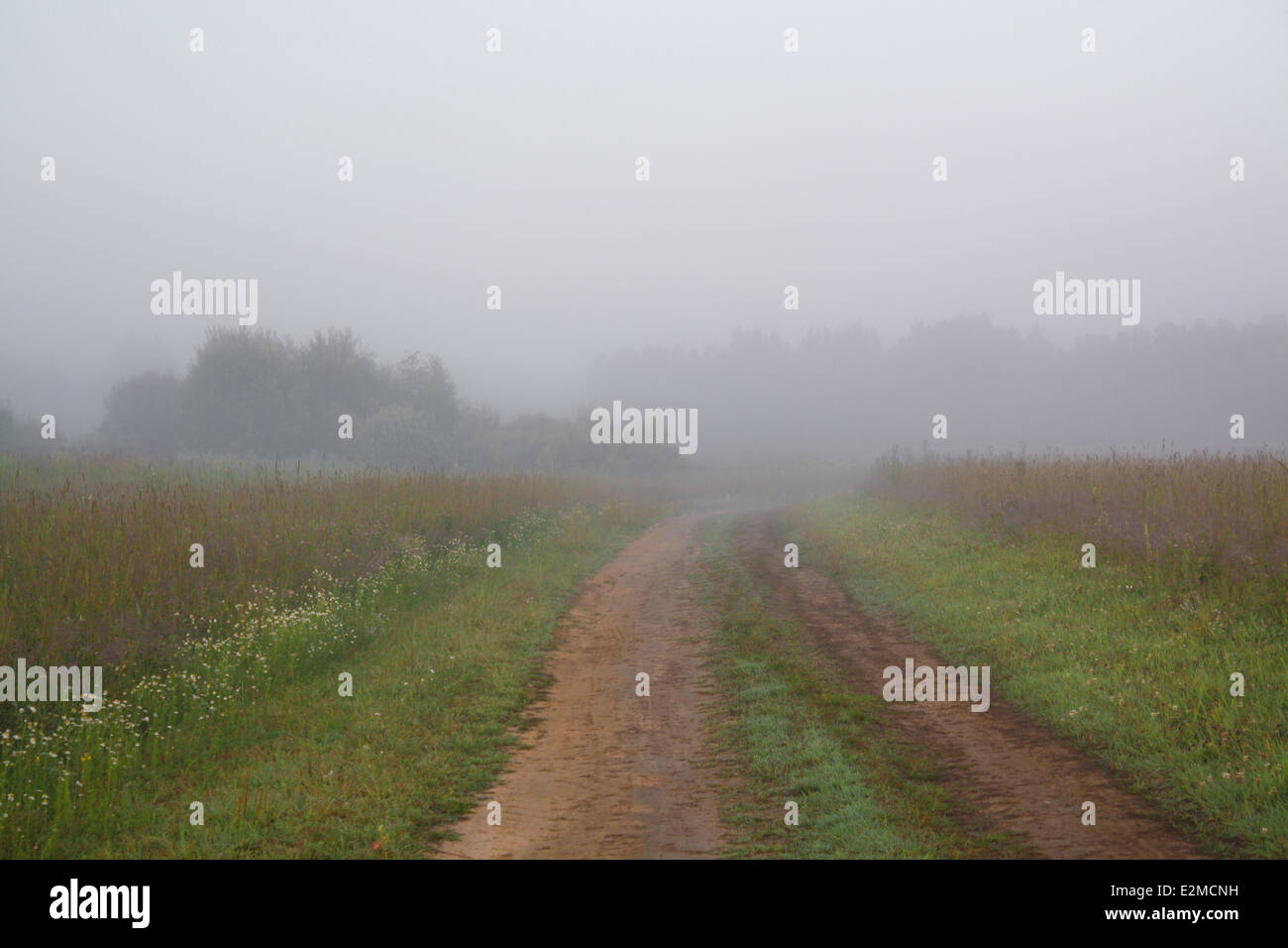 summer landscape with fog and the road Stock Photo - Alamy