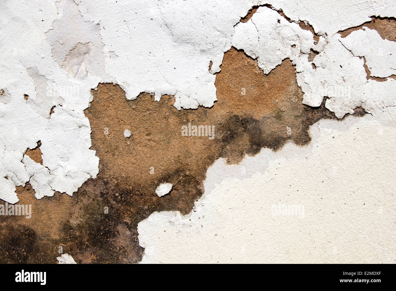 Mold on damp walls hires stock photography and images Alamy