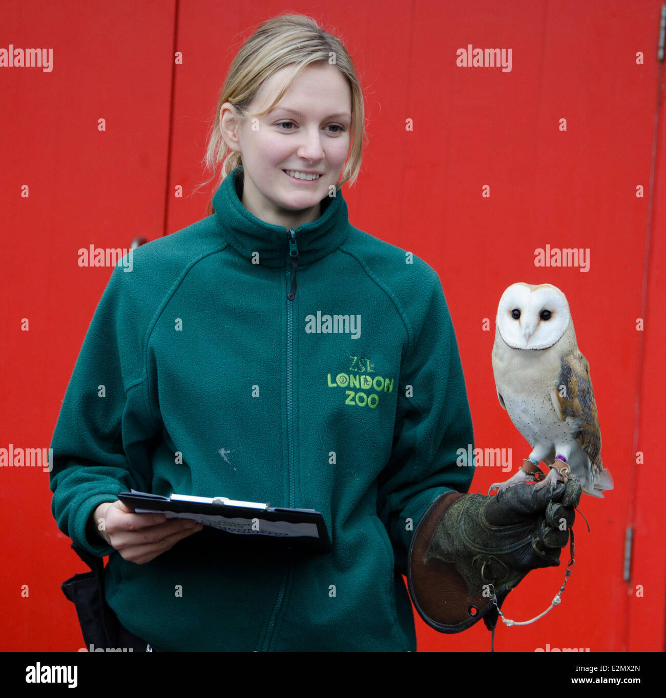 Zookeepers prepare to count every animal at ZSL London Zoo's annual