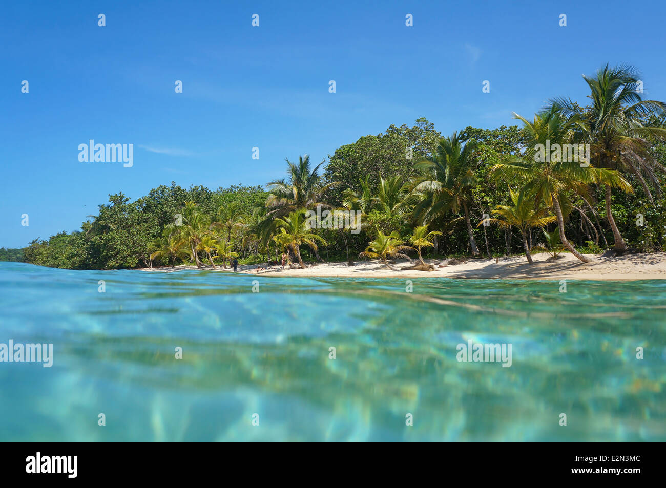 Sandy beach with tropical vegetation viewed from water surface, Caribbean sea, Panama Stock Photo