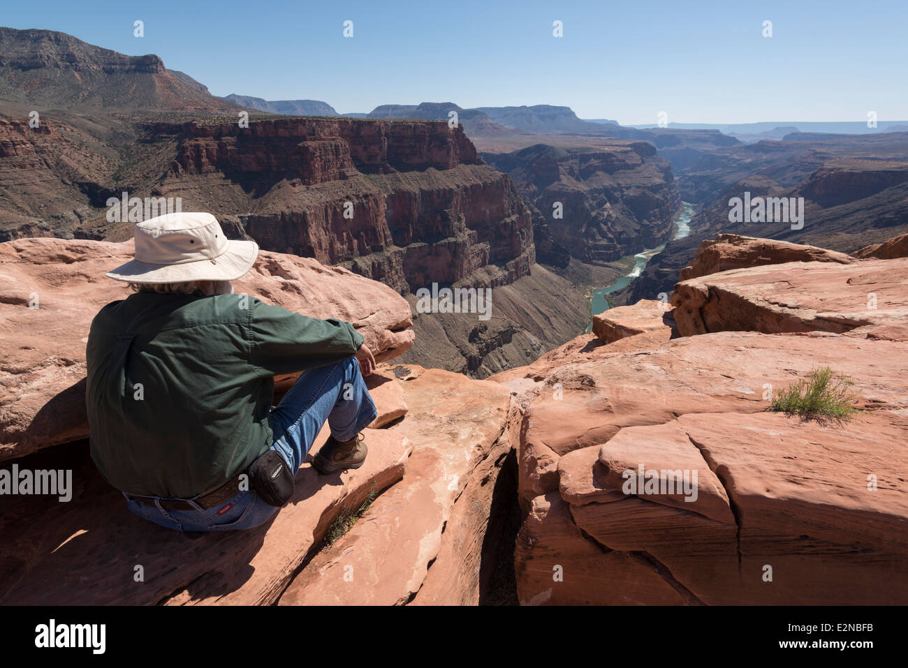 Volunteer ranger looking down at Colorado River gorge from Toroweap Overlook in Grand Canyon National Park, Arizona. Stock Photo