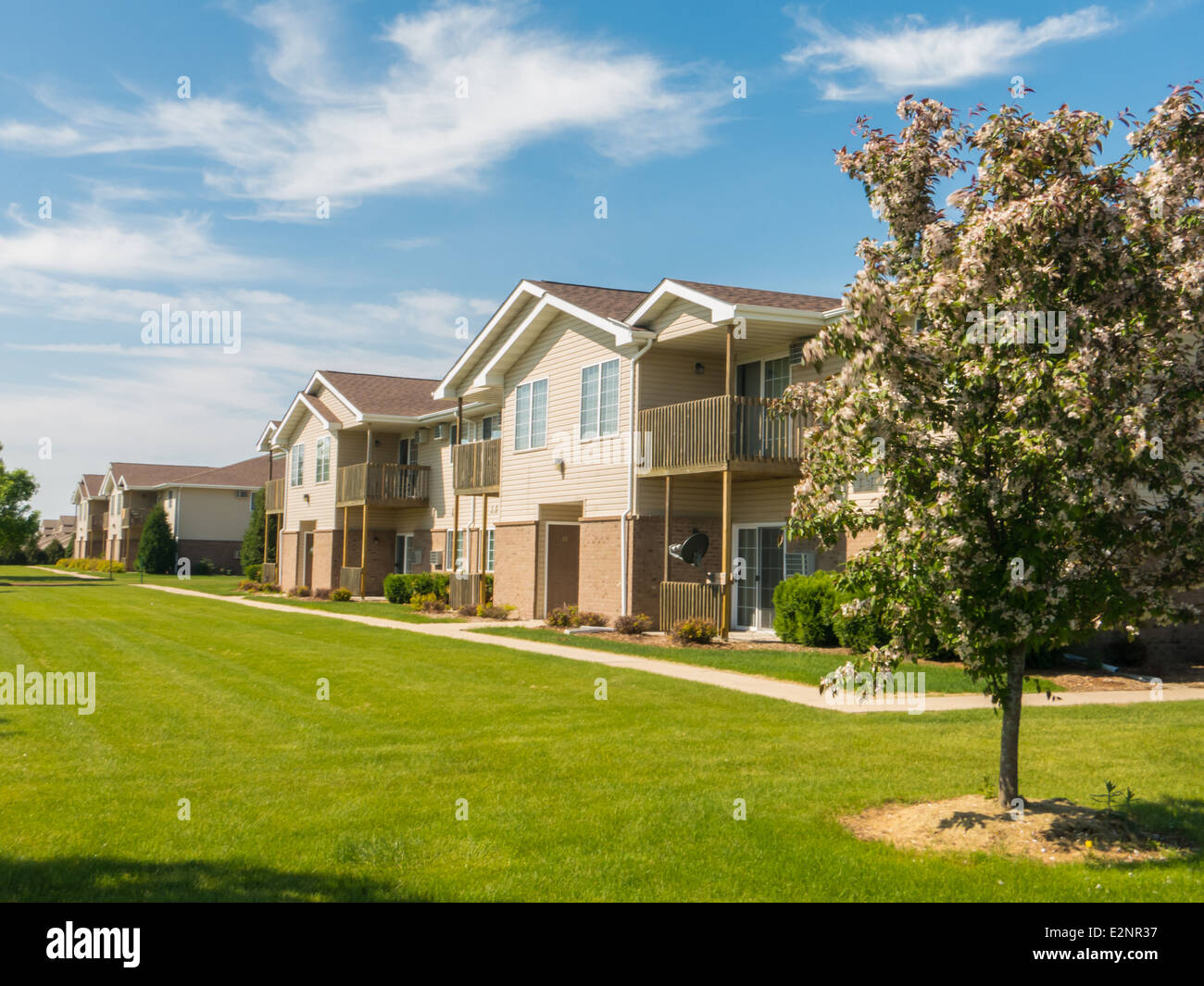 Rows of new apartments on a bright sunny day Stock Photo Alamy