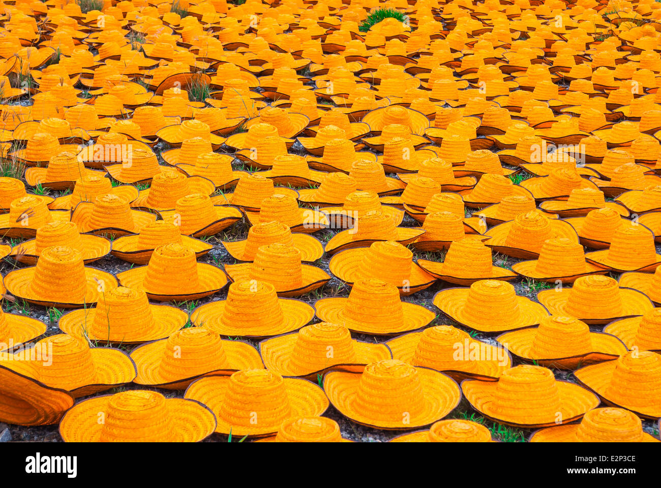 Many Orange Bamboo Farmer Hats on Ground. Stock Photo