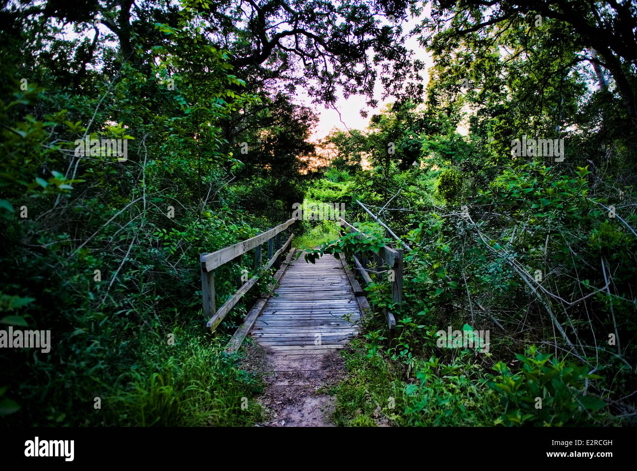 Somerville, Texas, USA. 5th May, 2014. A bridge on the Sunset Trail at