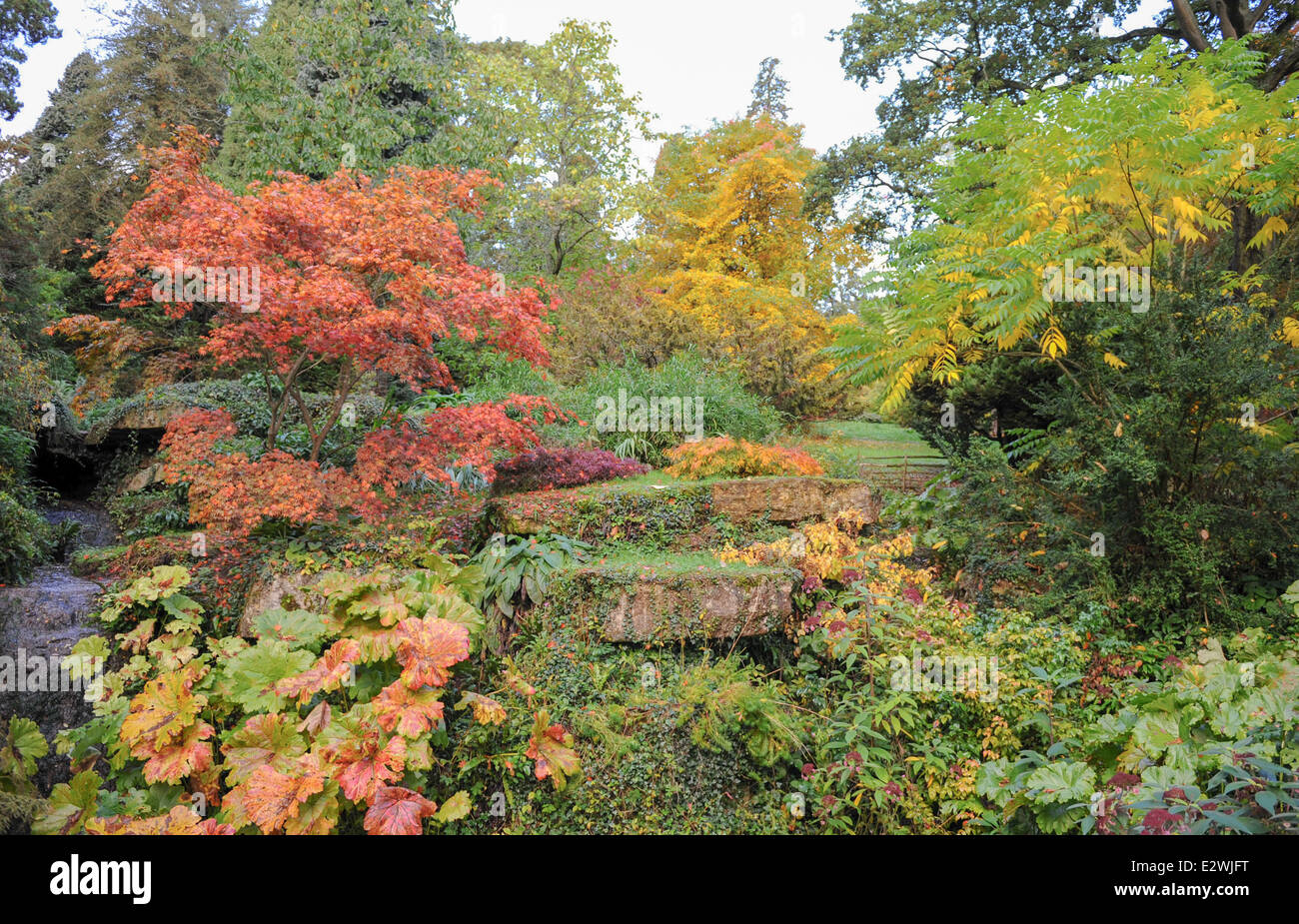 Autumnal Colours in the Grounds of Batsford Arboretum, next to the historic market town of Moreton-in-Marsh in The Cotswolds. Stock Photo