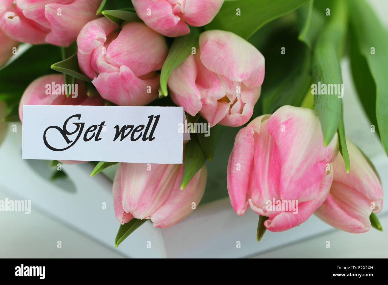 Get well card with pink tulips Stock Photo - Alamy