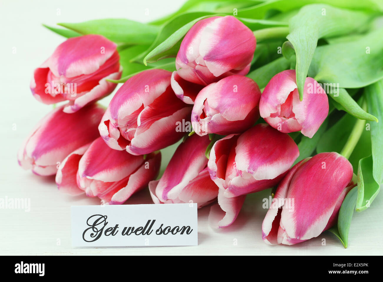 Get well card with pink tulips Stock Photo - Alamy