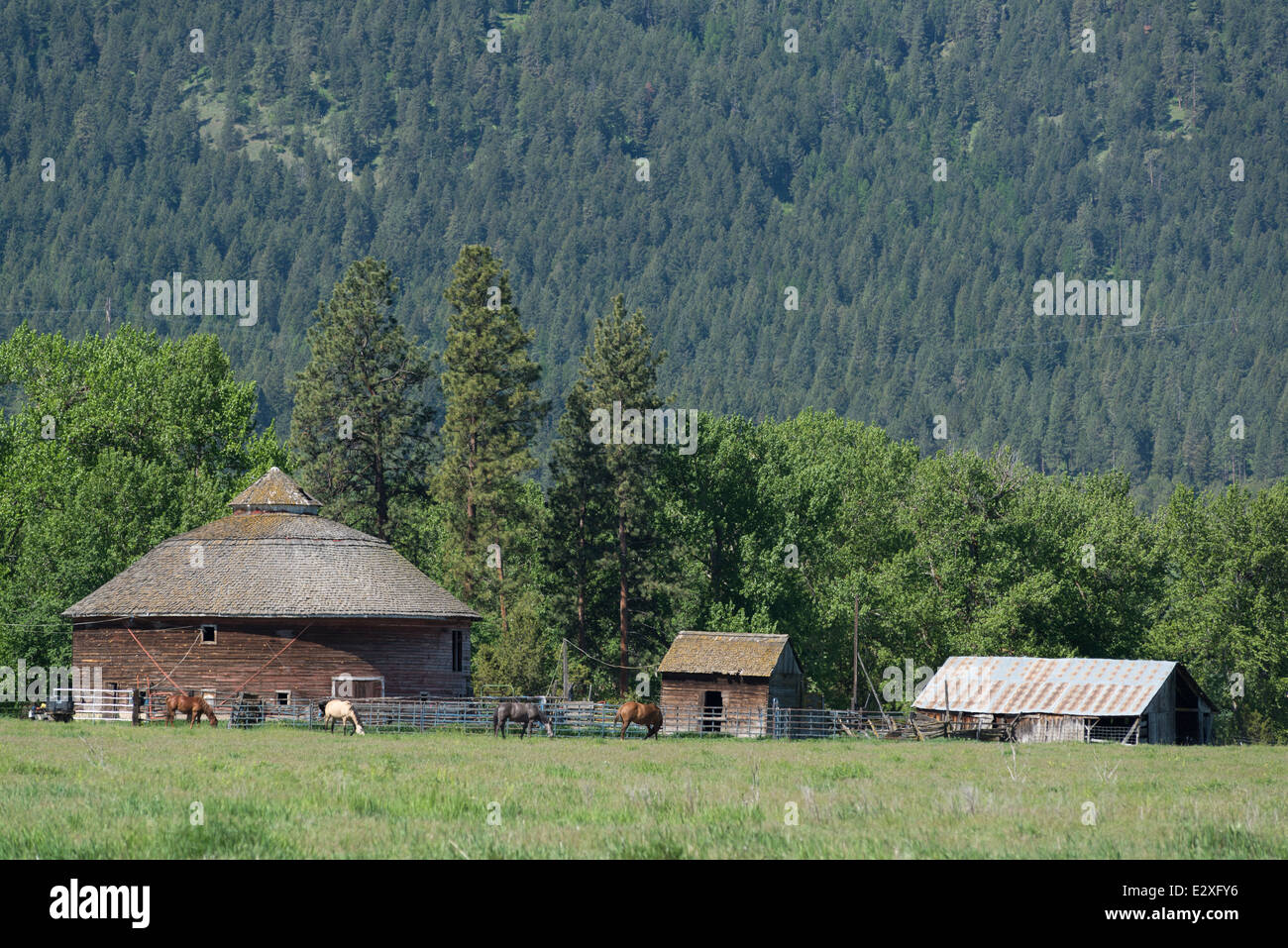 Horses in front of a round barn on a farm in Oregon's Wallowa Valley