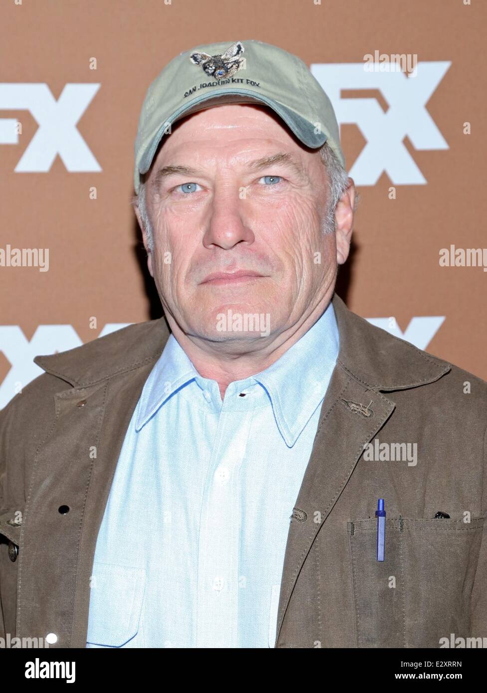 2013 FX Upfront Presentation - Arrivals  Featuring: Ted Levine Where: New York City, United States When: 28 Mar 2013 Stock Photo