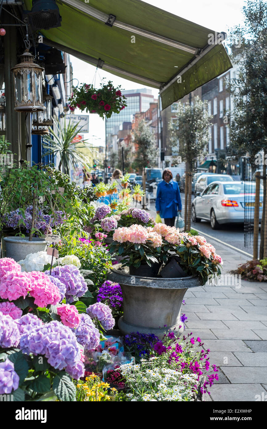 Street flower stall high street hires stock photography and images Alamy