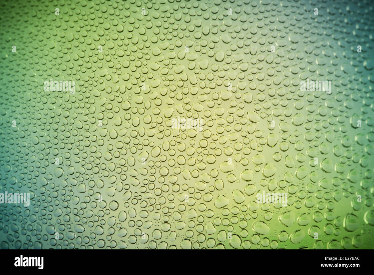 water drop on green background Stock Photo - Alamy