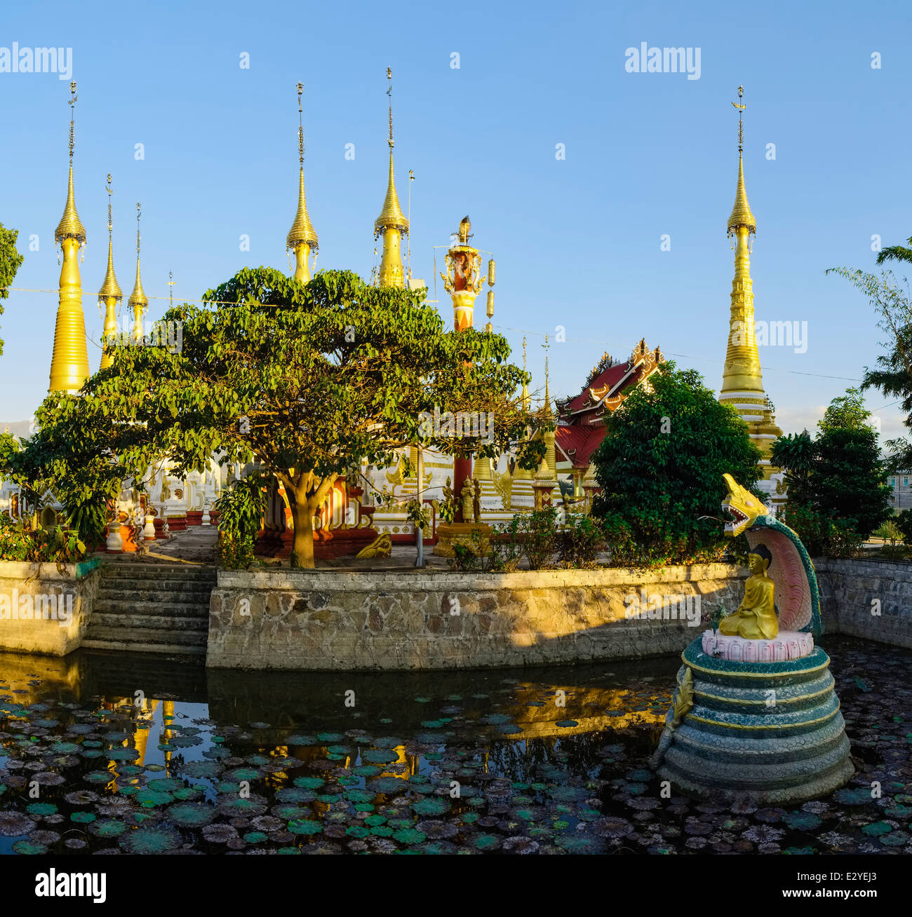 Pool with naga, Kyauk phyu gyi Pagoda, Nanthe, Myanmar, Asia Stock Photo