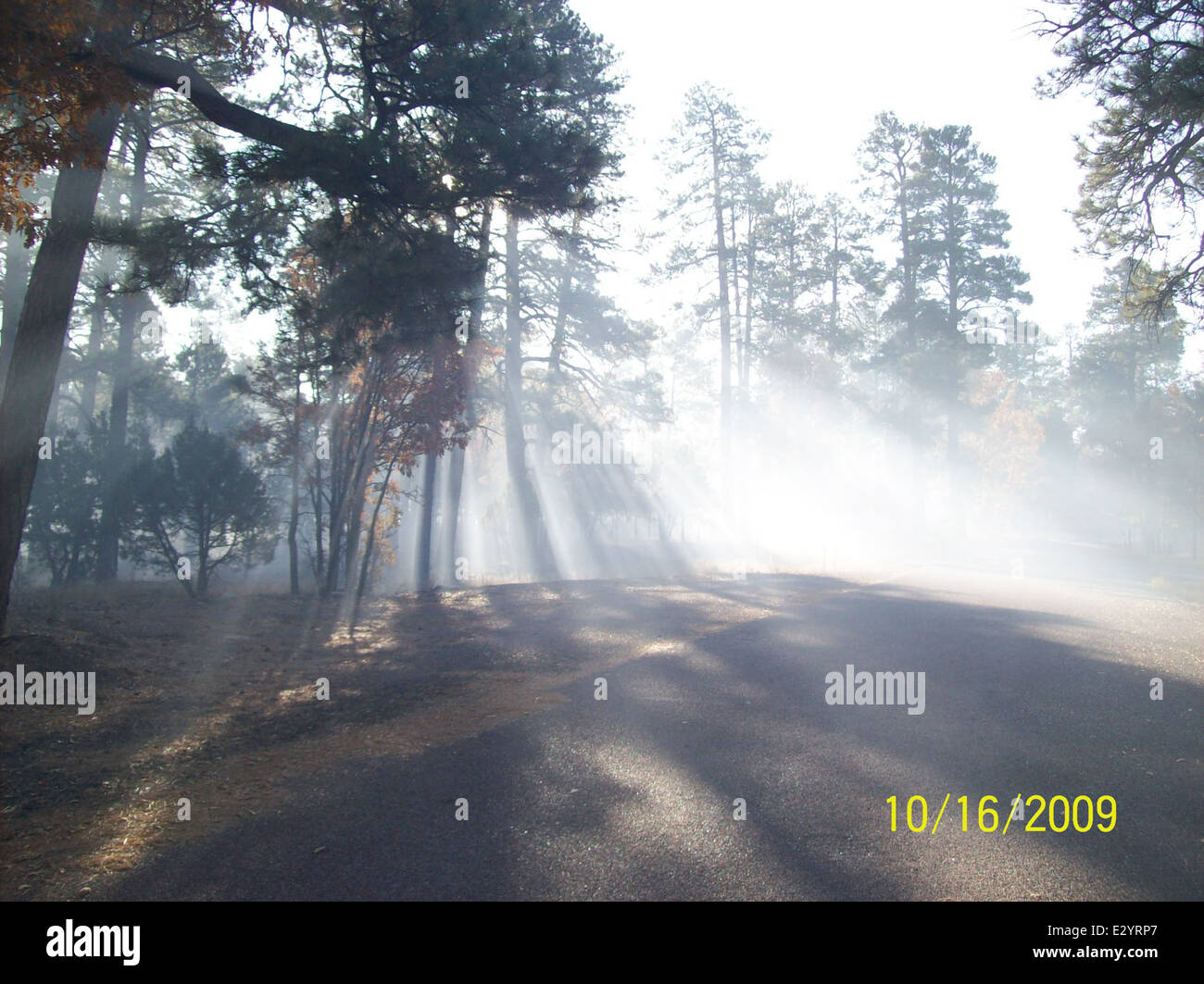 Prescribedfire hi-res stock photography and images - Alamy