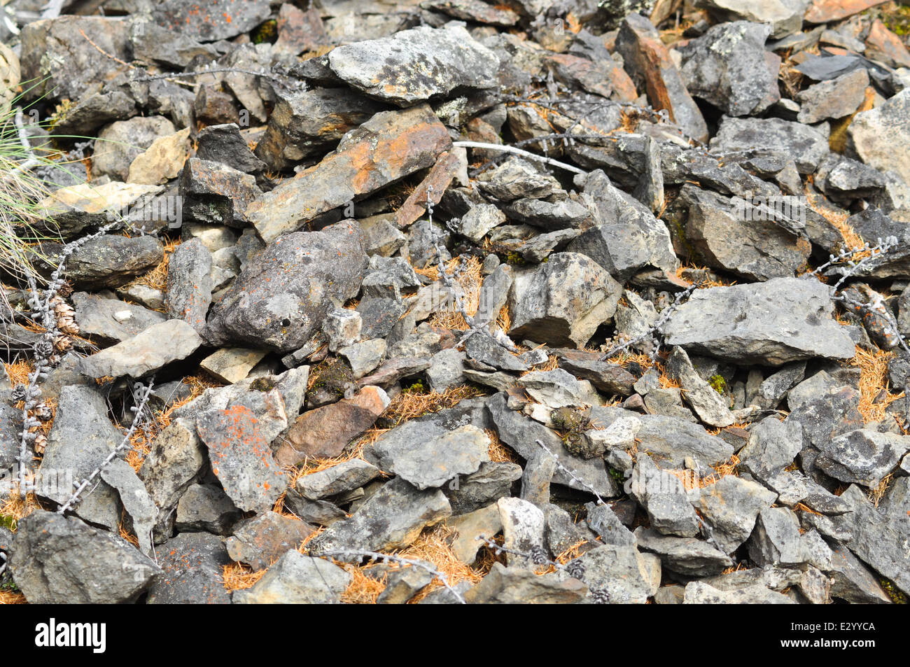 Photo texture sharp fragments of rocks. Stone talus in Yakutia Stock