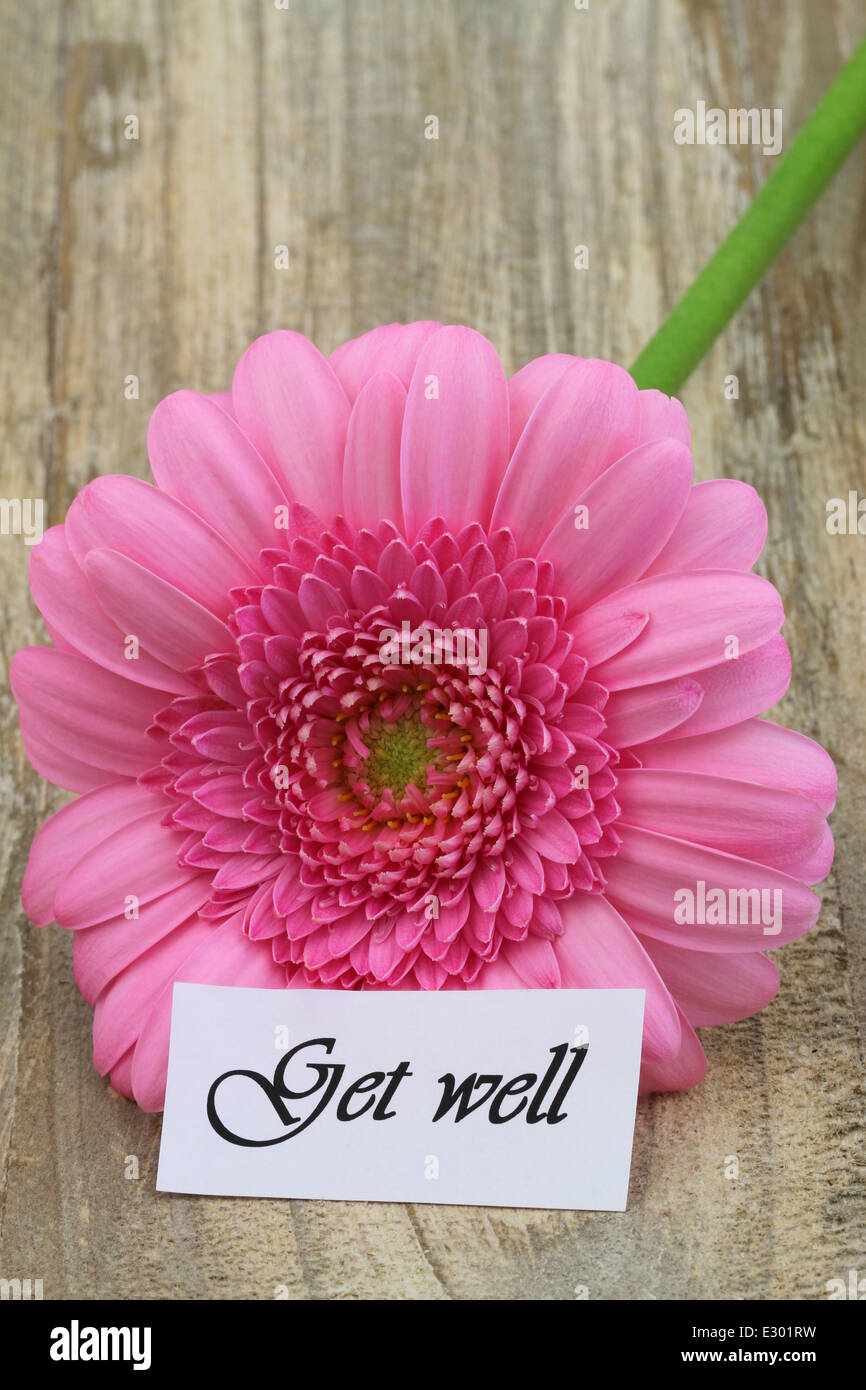 Get well card with pink gerbera daisy on wooden surface Stock Photo - Alamy