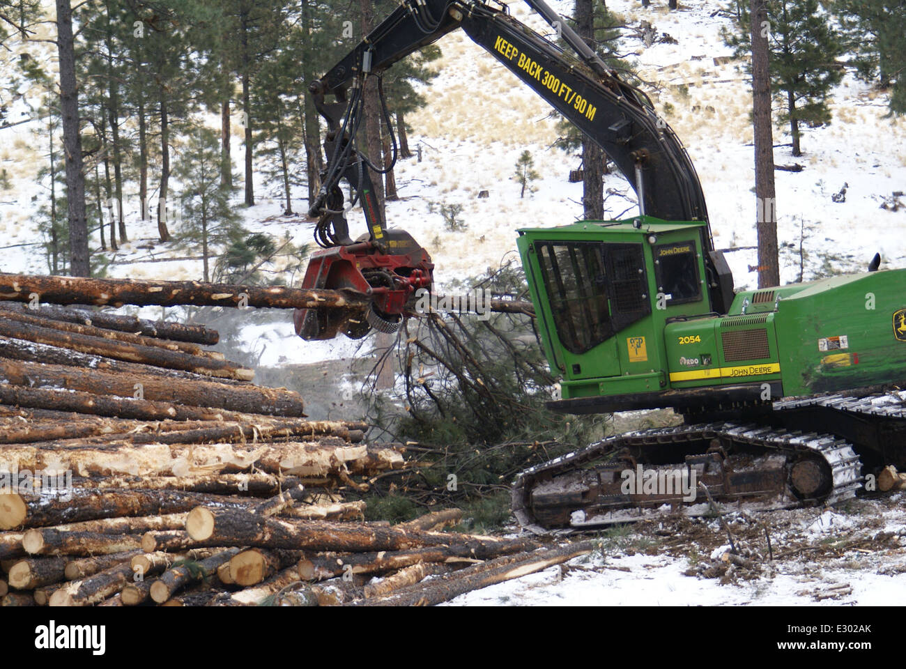 Horse Pine Stewardship Contract Stock Photo