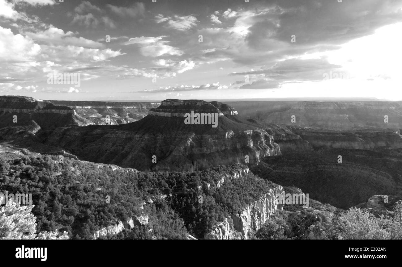 The North Rim of the Grand Canyon, located within Kaibab National ...