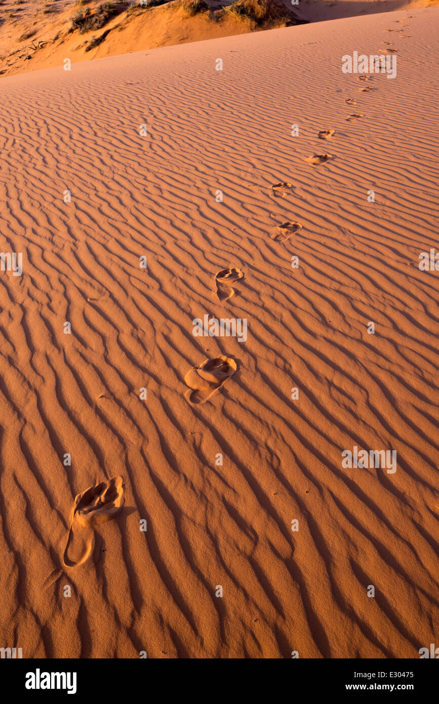 Barefoot footprints in sand dune, Moquith Mountain Wilderness Study